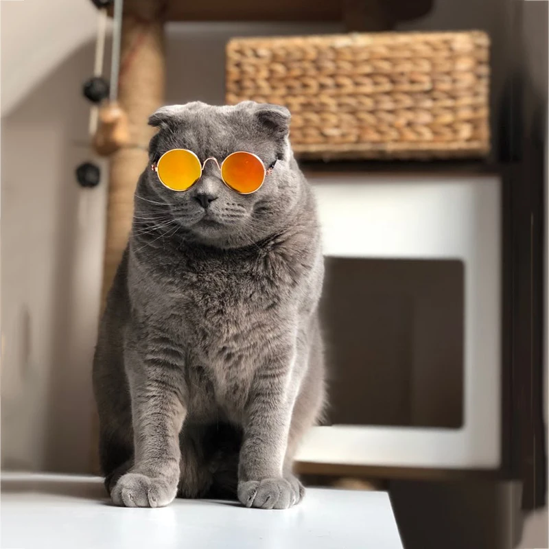 Hoomall 1 шт. собачьи очки товары для домашних животных для маленькой собаки кошачий глаз-носить очки для собак фотографии аксессуары в виде животных Массажная расческа котенка очки
