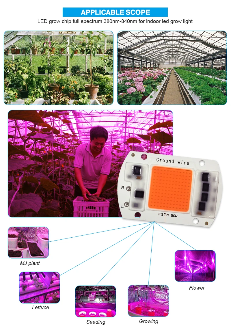 LC-COB-_12