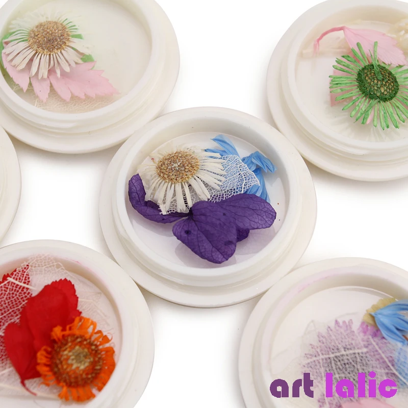 

6 box/set Dried Flowers Leaf Nail Art Decoration Natural Floral Sticker 3D Mixed Dry Bloom Nails Decals UV Gel Polish Manicure