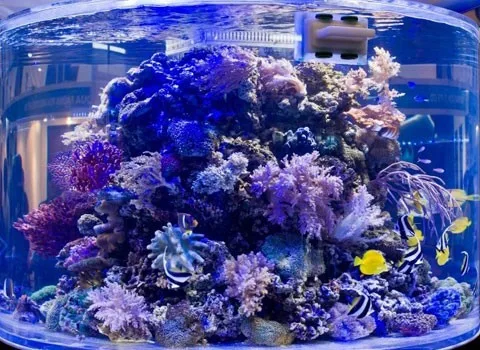 Светодиодная лампа для аквариума с чипом мечты 90 Вт 100 светодиодная выращивания