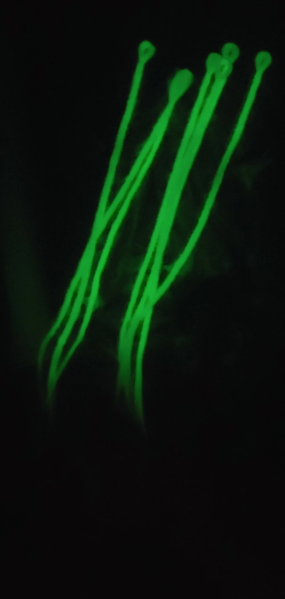 20190407_211724
