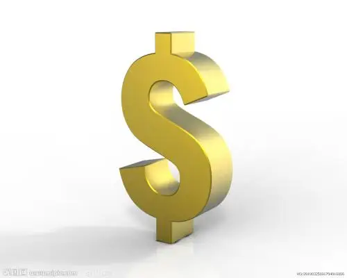 

Payment for Extra Fee