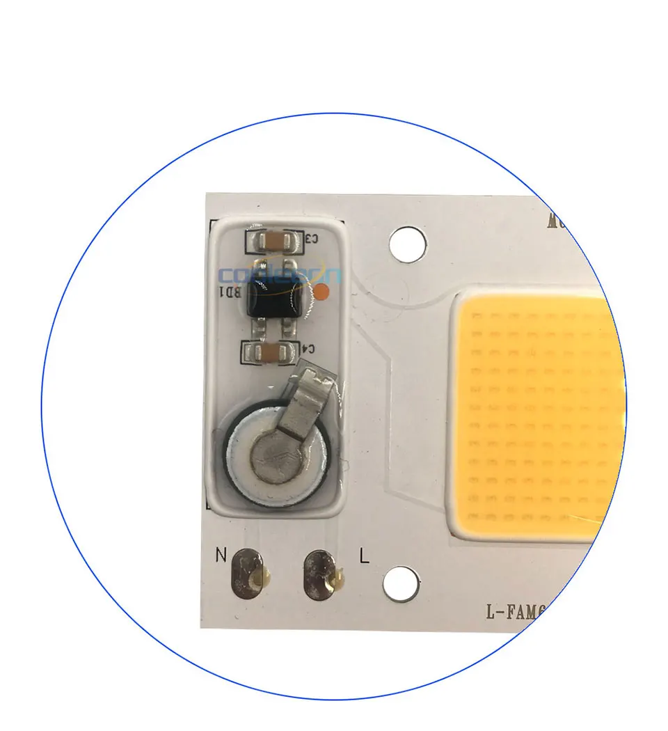 Full Spectrum COB LED Lamp 50W 95% RA 220V AC COB Chip Smart IC for Plant Frow Lights Floodlight Lighting Source Warm Cold White (5)