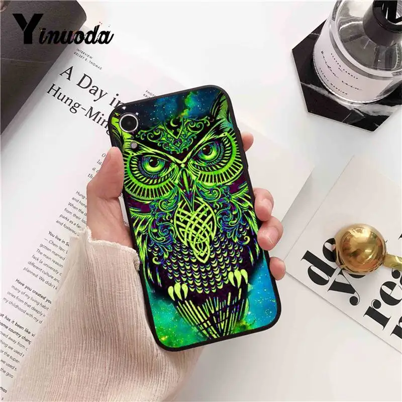 Cool  Owl  Cartoon Painted