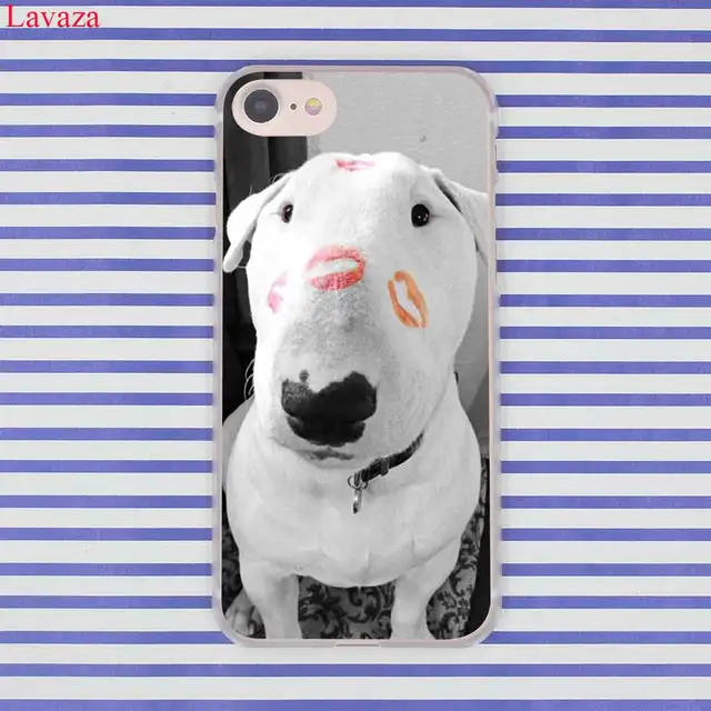 coque iphone xr bull terrier