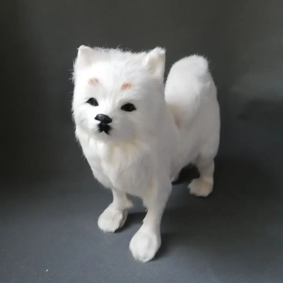 real-life-toy-white-pomeranian-model-large-28x25cm-plastic-fur-pomeranian-handicrafthome-decoration-toy-gift-w0554