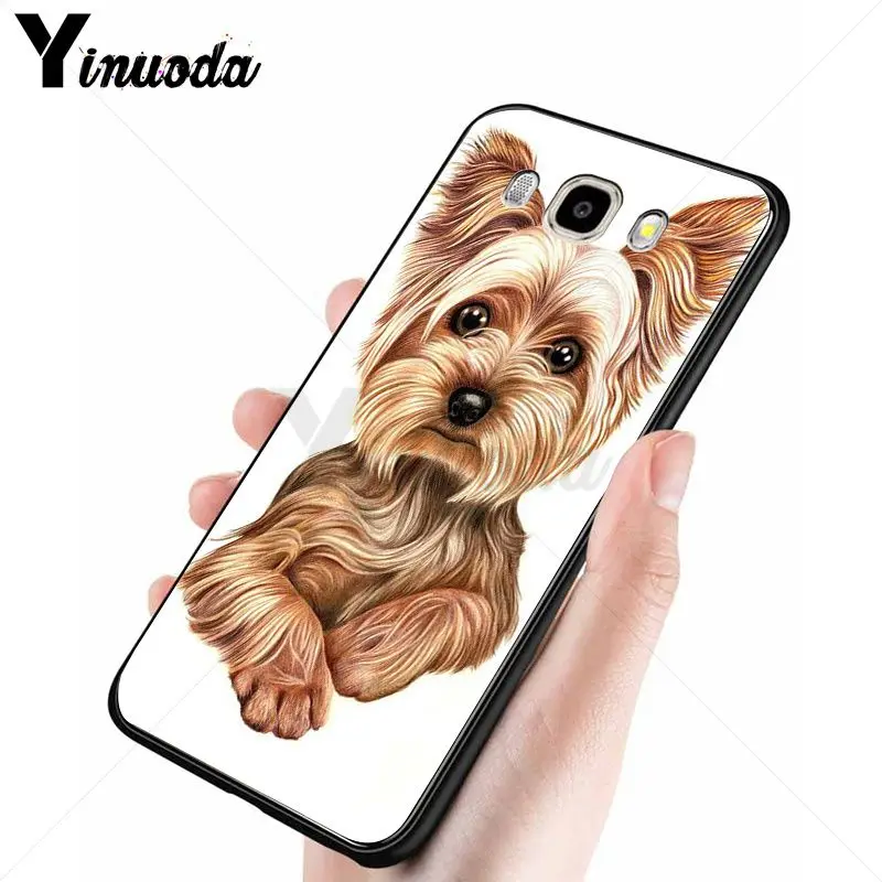 yorkshire terrier dog puppy 