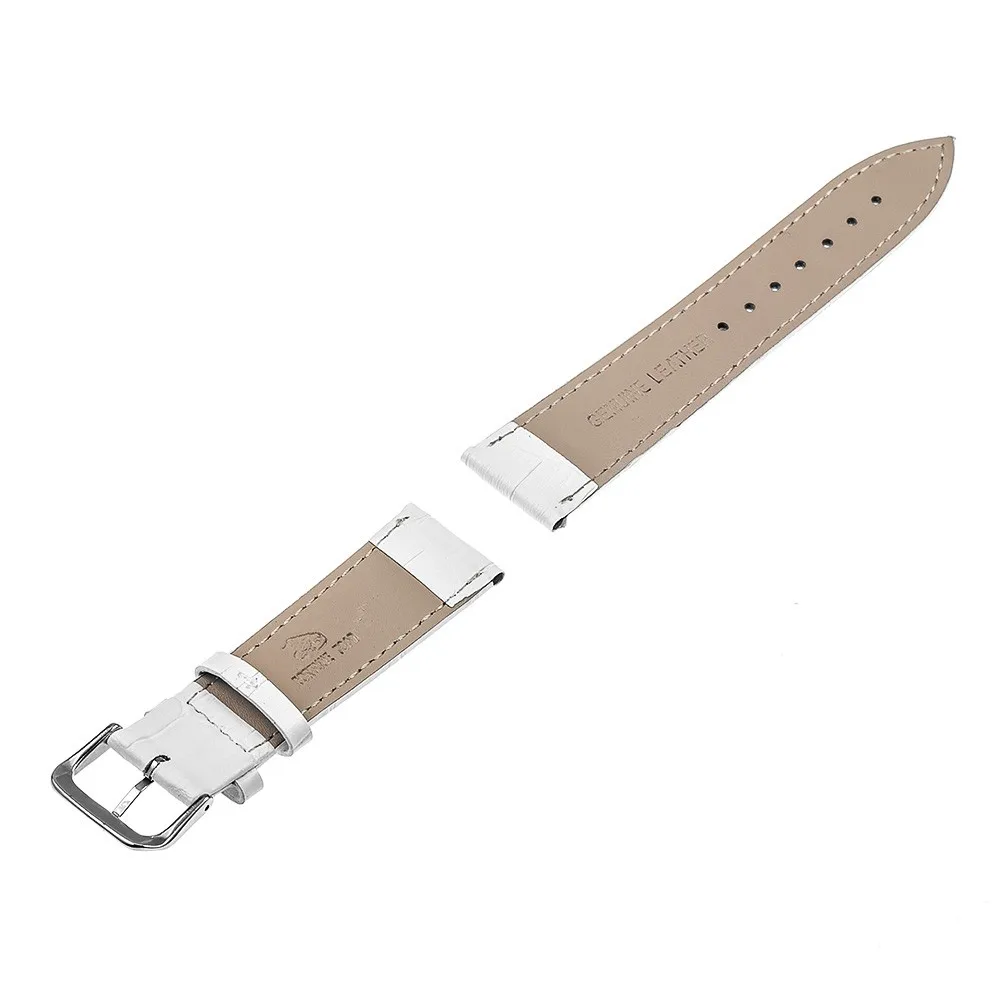 PP31W 3