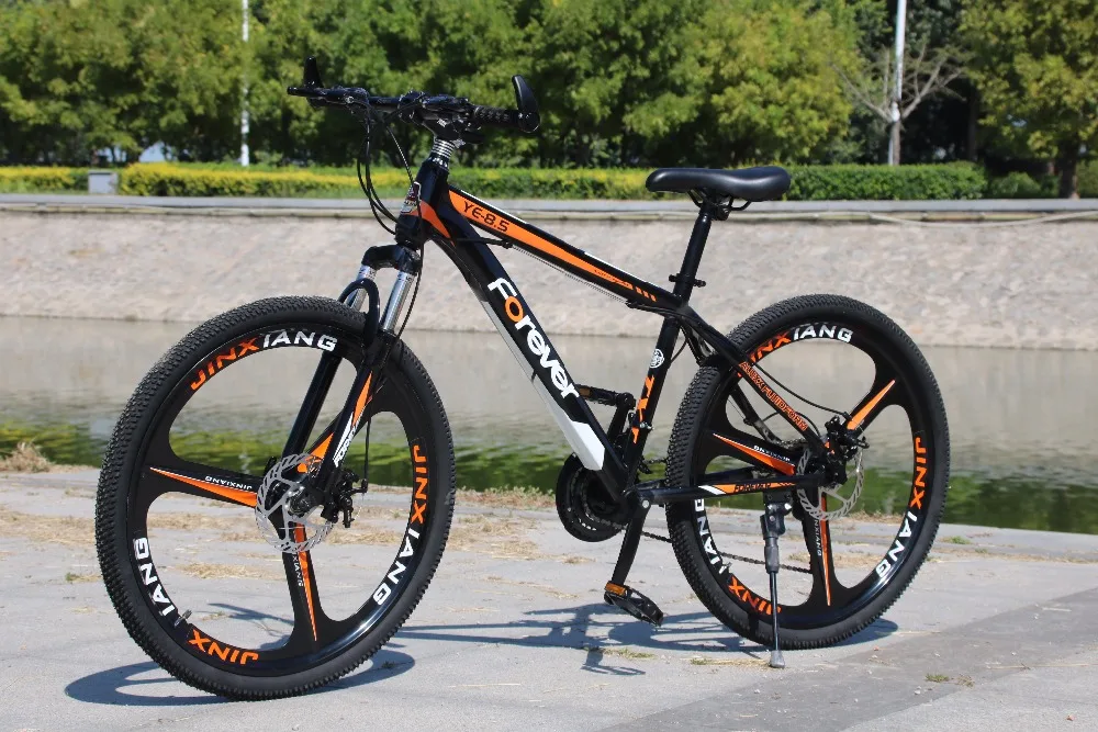 Double Disc Brake Bike 