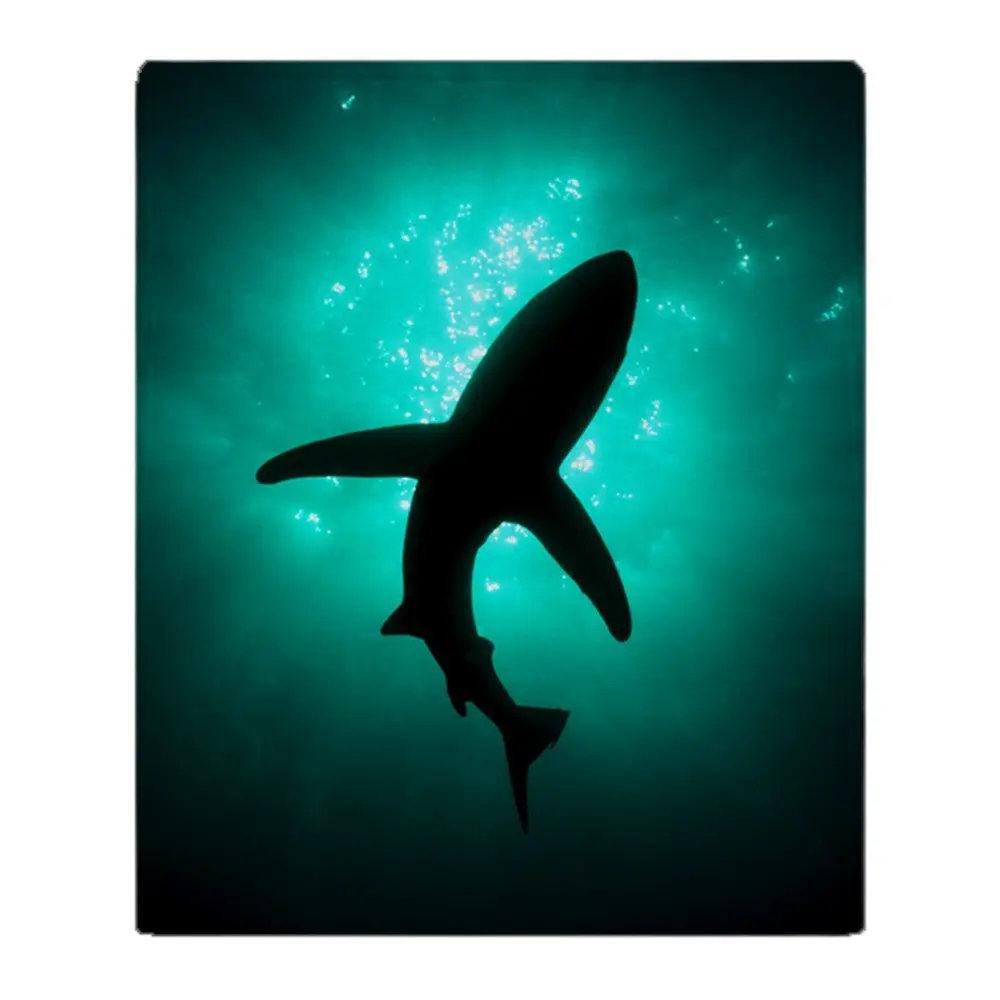 

Shark Soft Fleece Throw Blanket Solid 350G Thicker Blankets on Sofa/Bed Throw Blanket
