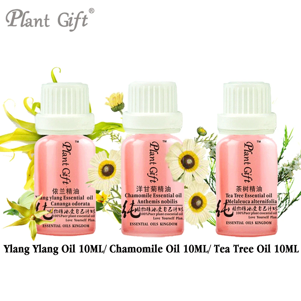 

100% Pure Plant Essential Oils Ylang Ylang / Chamomile / Tea Tree Oil 10ml Indonesia Imports Whitening Glossy Black Hair Oily