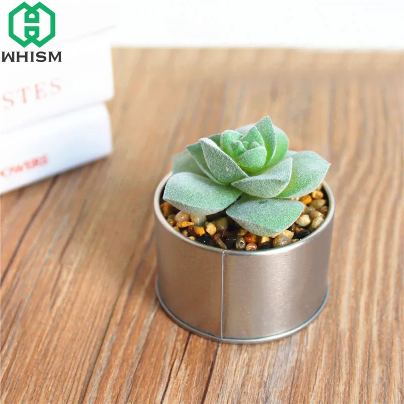 

WHISM Mini Creative Simulation Succulent Plant Fake Cactus Aloe Bonsai For Home Decoration Artificial Succulents with Iron Pot