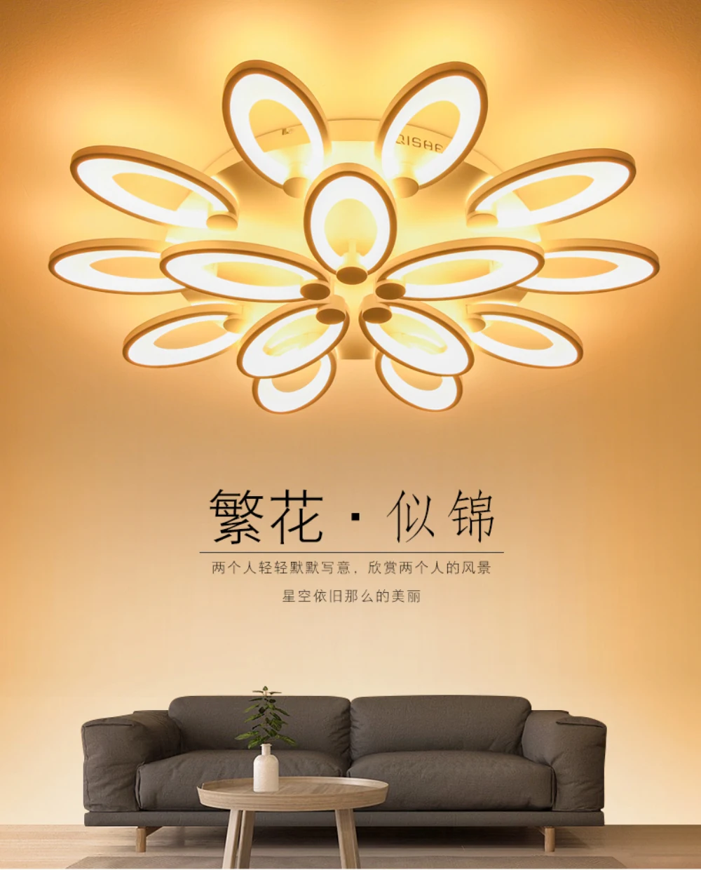 gorgeous ceiling light foyer-01