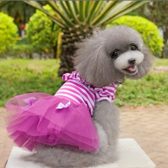 

New arrive Cute dog clothes costume Pet dog clothing Yorkshire Chihuahua cute princess Pet Dog dress