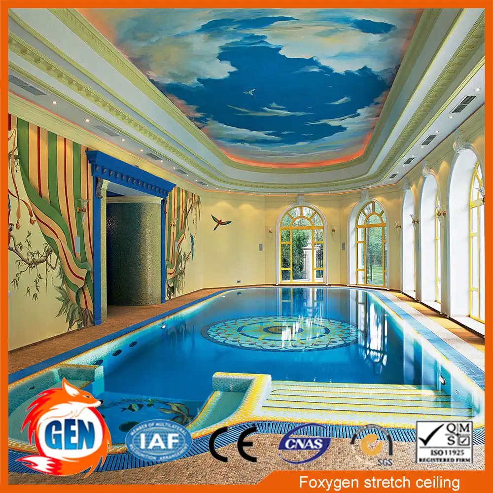 2017 New Hot Sale Pvc Stretch Ceiling Design False Ceiling