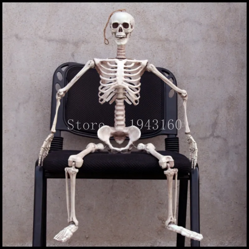 36inch 90cm halloween skeleton 100 plastic children size skeleton for halloween decorationschina - Halloween Decorations Skeleton 36inch 90cm halloween skeleton 100 plastic children size skeleton for halloween decorationschina - Halloween Decorations Skeleton