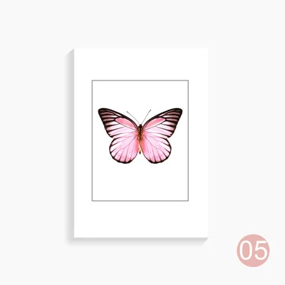 A5
