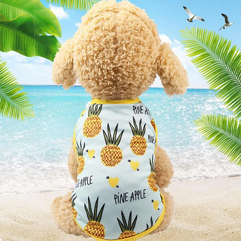 MUQGEW Prince Lovely summer dog dress Pineapple Strawberry dog dresses