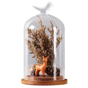 

Simple Modern Creative DIY Greenhouse Glass Cover Crafts Home Office Decoration Display Living Room Micro-Landscape Decor Gifts