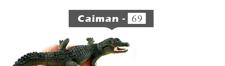 -12--DW-M-MY69_01
