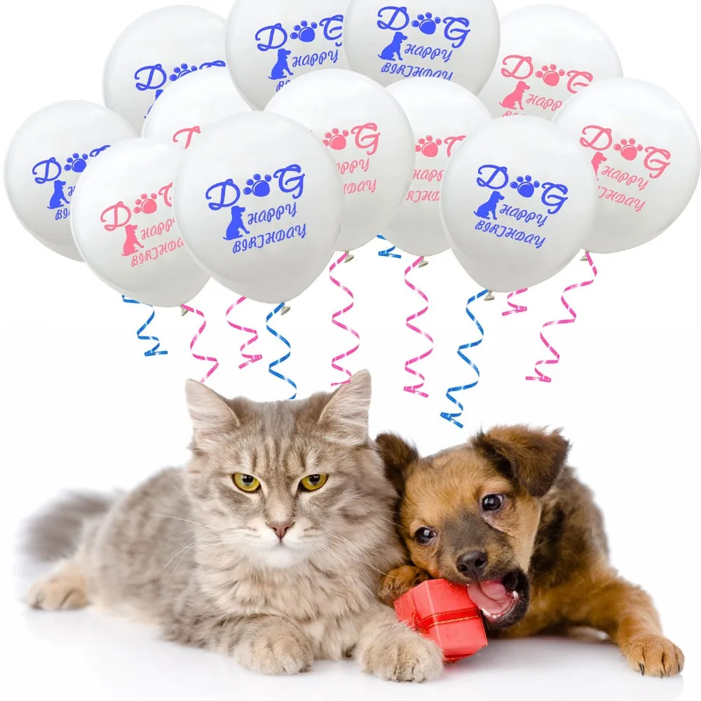 dog balloon3