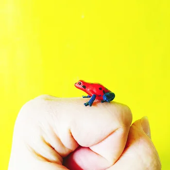 

1Pcs/red and black frog/doll house//miniatures/lovely cute/fairy garden gnome/moss terrarium decor/crafts/bonsai/ DIY/toy/model