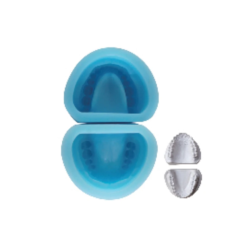 

High quality silicon rubber mould of Holostomatous teeth model