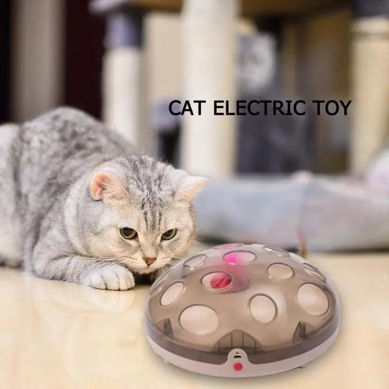 

Funny Interactive Cat Toys with 2 Colors Replace Electric Rotating Feathers for Household Pets Cat Playing Training Toys Product