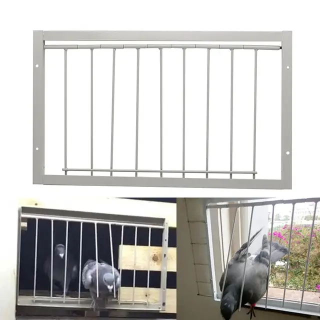 30/40*26cm Pigeon Door Metal Bars Single Entrance Trap 1