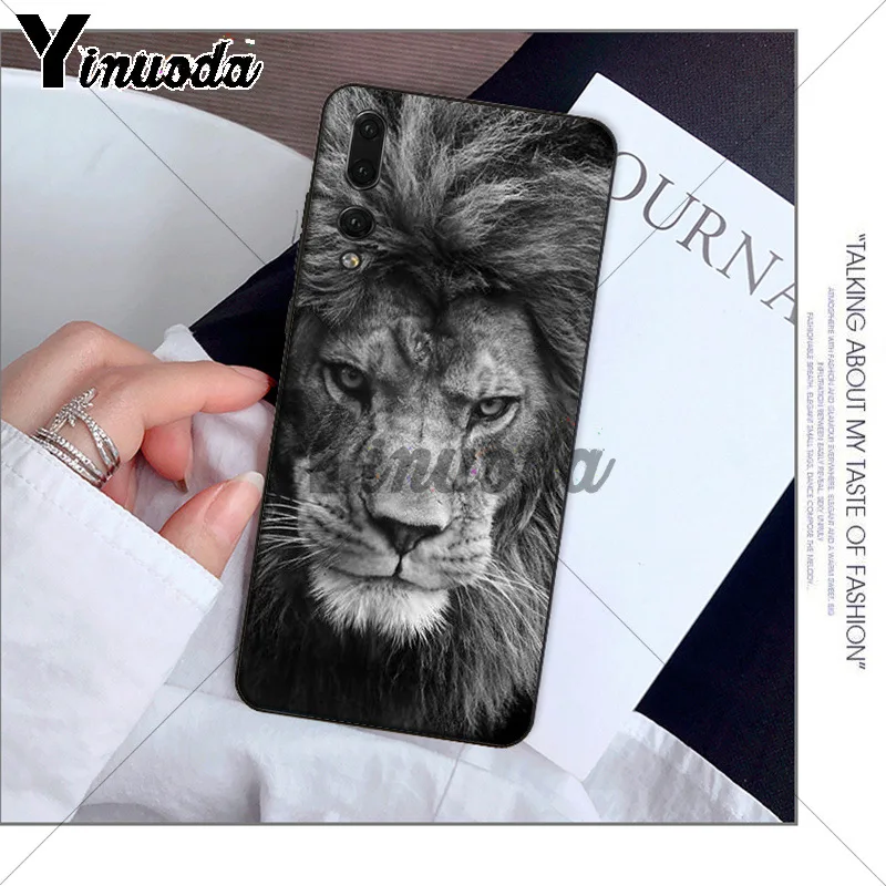 Animals The lion