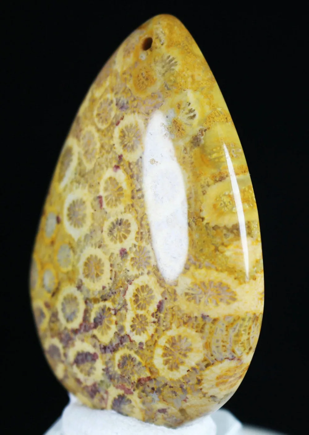 10x48mm Long Rectangle-Shaped Genuine Fossil Coral Jade Pendant Natural Chrysanthemum Stone 2pcs --1 Pair