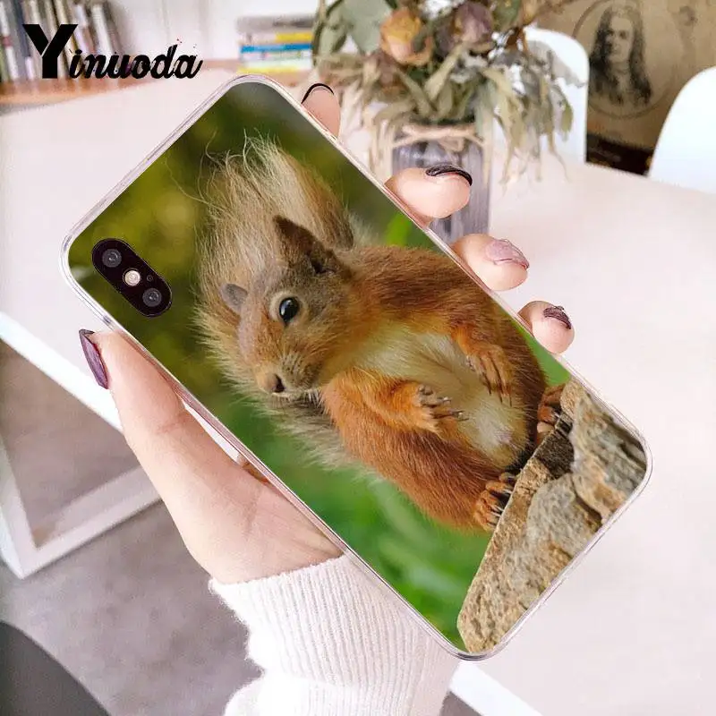 Yinuoda для iPhone 7 Чехол мобильного телефона с изображением белки пить воду зеленая