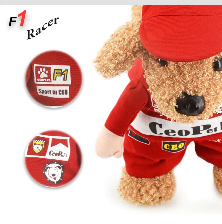 pet costume (9)