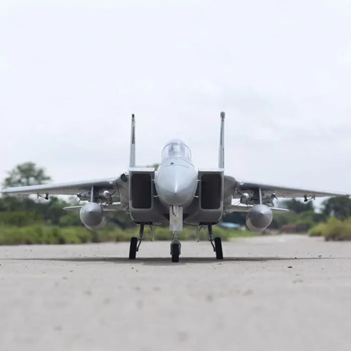 

Electric Remote control Freewing F-15 90mm rc jet model Standard PNP version