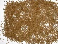 floating fish feed pellet machine for fish food/floating fish feed machine/fish feed machine