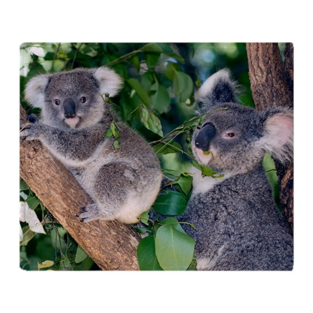 Mother Koala And Young Soft Fleece Throw Blanket Warm Coral Blankets on the Bed Bedclothes | Дом и - Цена: 