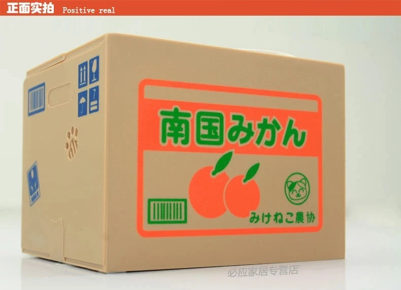CAT3.webp.jpg