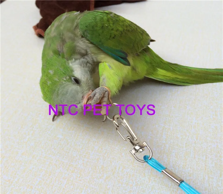 TB2MXKSbFXXXXbmXpXXXXXXXXXX_!!357916366