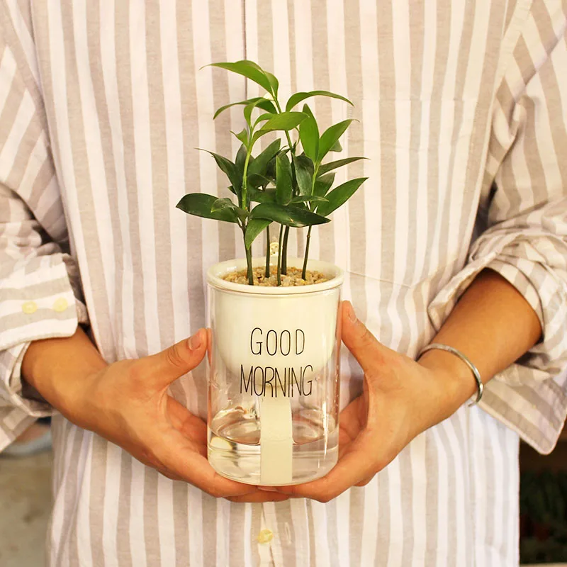 Tanie 1pc automatyczne nawadnianie doniczka ceramiczna doniczka ze szklanym pojemnik na wodę dla zielonych roślin sukulenta Cactus