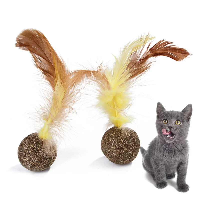 Cat Toy Catnip Ball Chicken Feather Shuttlecock Pet Cat Chewing Healthy Interactive Tease Toy Healthy and Non-toxic Toys Kittens (1)