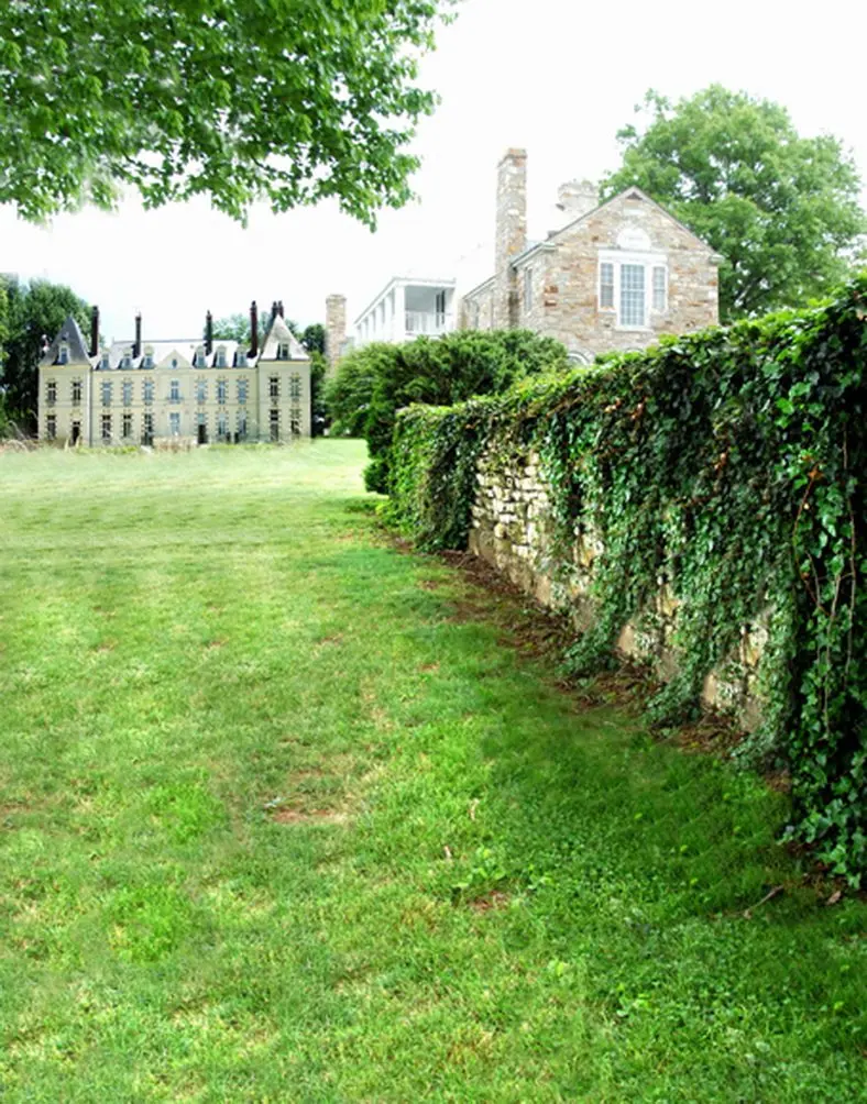 

5x7ft Lawn Green Leaf House Photography Backdrops Photo Props Studio Background
