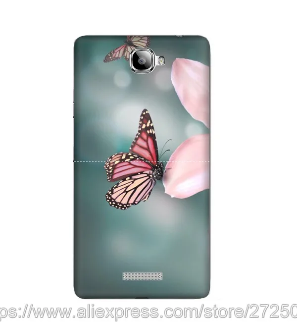 butterfly
