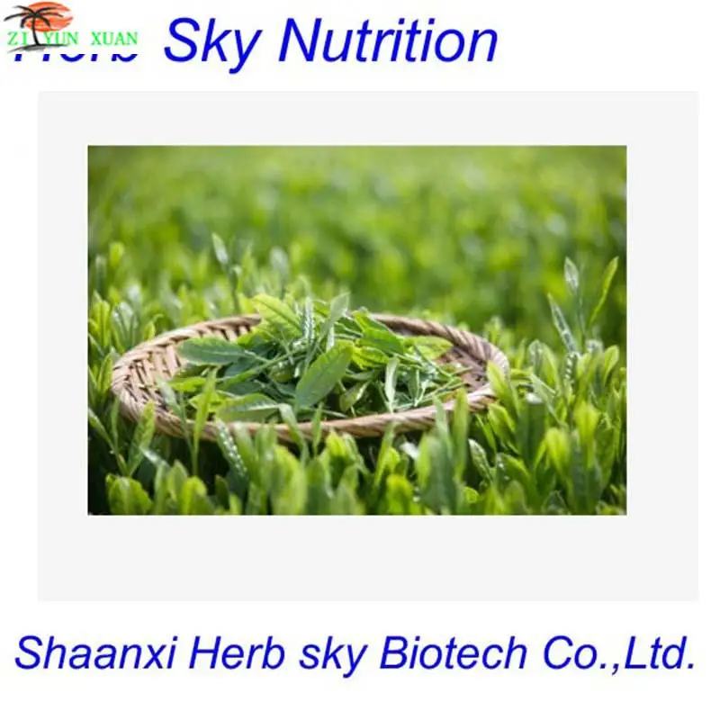 

matcha green tea extract, japanese matcha green tea powder, matcha green tea ice cream powder 700g/lot