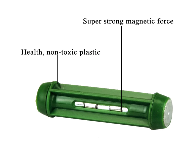 Stomach Magnets Trap Magnetic Metal Wires IronAbsorbers Taking Veterinary Medical