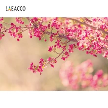 Laeacco розовый весна росток цветы филиал в горошек свет боке сцены фото фоны Фотографические фоны для фотостудии