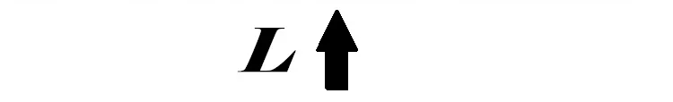 L 12