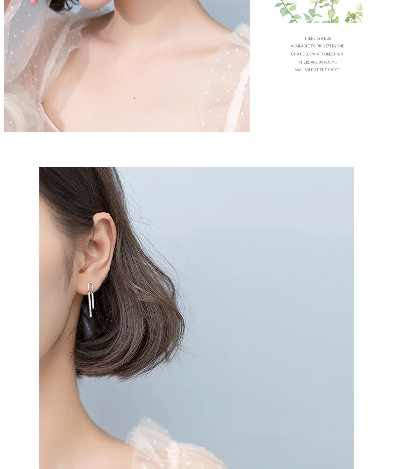 Women Earrings Silver 925 Cubic Zirconia Geometric Statement Earrings Orecchini For Wedding Party Jewelry Pendientes Feminino (5)