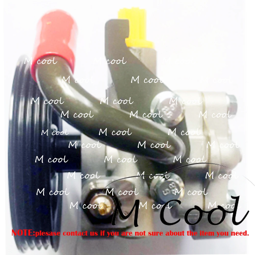 High Quality Brand New Power Steering Pump For Car Hyundai Santro 51000