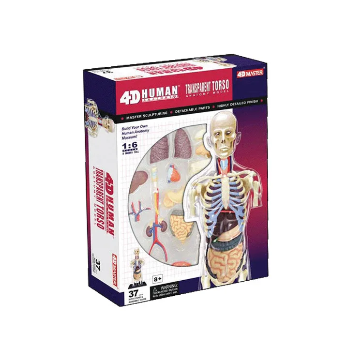 Dauphin Anatomie Modèle Puzzle 4D Vision Kit #26103 Tedco Science Jouets