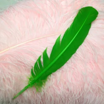 

100pcs 12-14inch(30-35cm) lime green Turkey quill round feather turkey round feathers